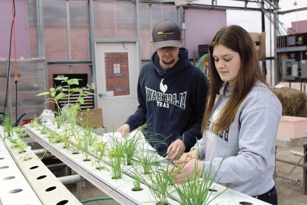 2 students looking at crop plants in greenhouse